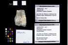Foto (Objekt + Etikett) von Pithonoton sp.  (NHMW-GEO-1990-0041-2572)